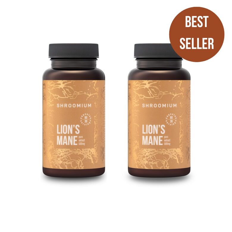 LION'S MANE extract for 2 months