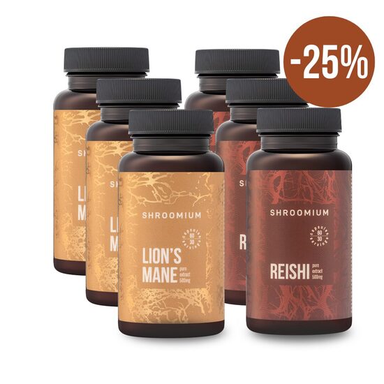 LION'S MANE + REISHI set for 3 months