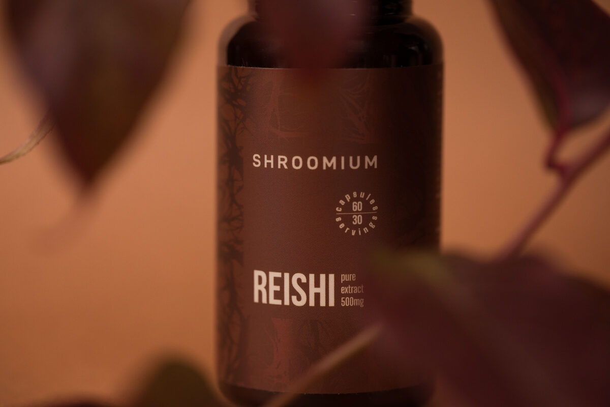 Reishi_on_brown_blurry.jpeg