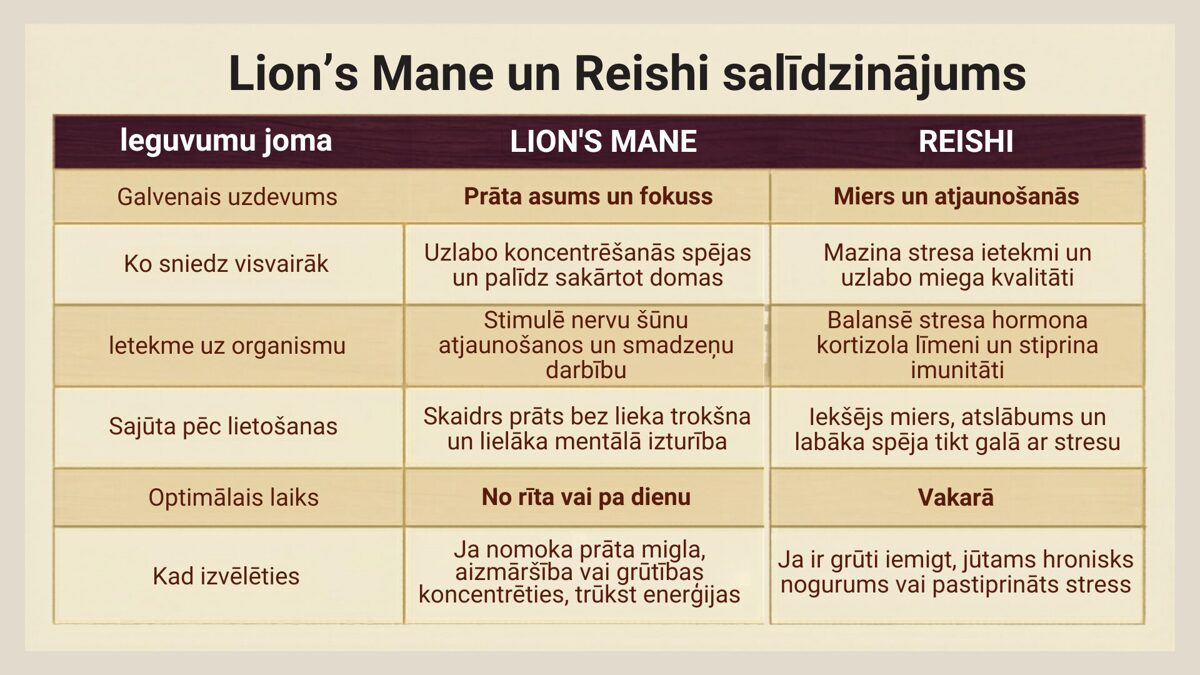 shroomium-lions-mane-reishi-pret-stresu-imunitatei-nervu-sistemai-miegam-atminai.jpg